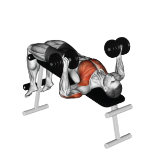 Gym Ngày 9