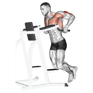 Gym Ngày 11