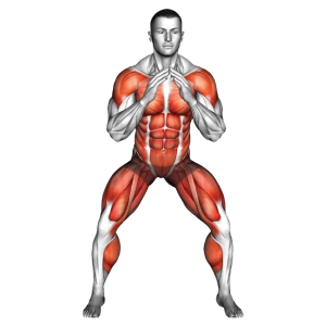 Gym Ngày 12