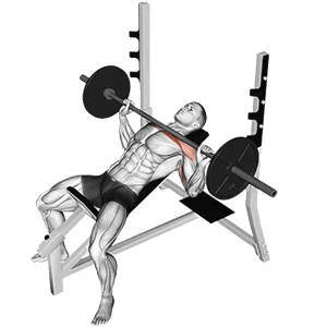 Gym Ngày 14