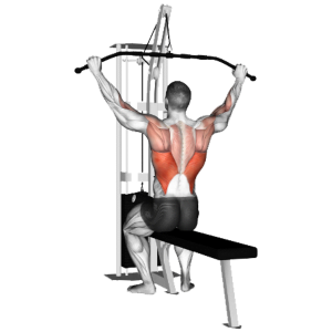 Gym Ngày 2