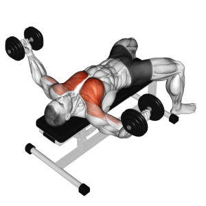 Gym Ngày 1