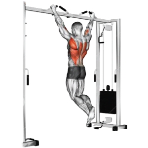 Gym Ngày 5