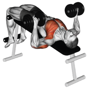 Gym Ngày 6